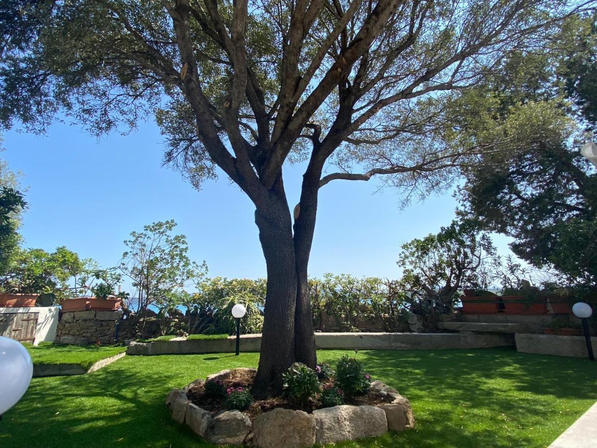 Villa La casa sull’acqua Olbia Esterno foto